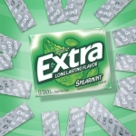 EXTRA Spearmint Sugarfree Chewing Gum, 15 Pieces (Pack of 10) - Image 7